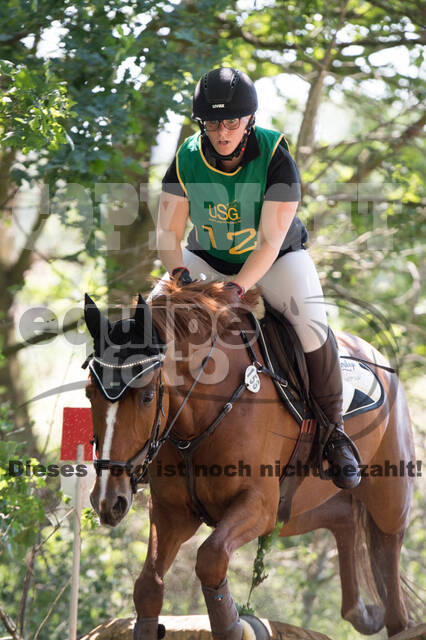 Vielseitigkeitsturnier ZRuFV von Lützow Hamminkeln
