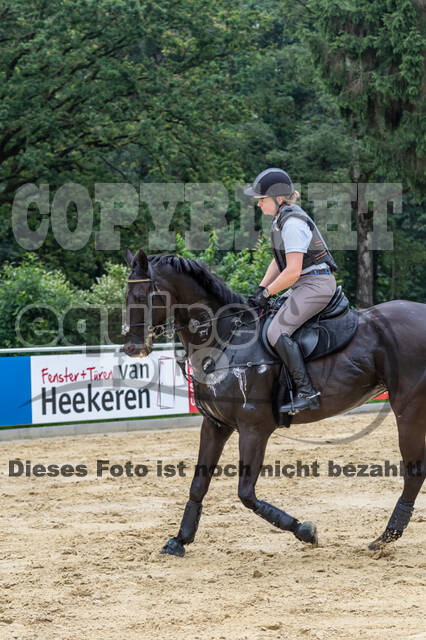 Hunter Geländetraining 10.07.2021 (Sonsbeck)