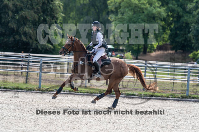 Late-Entry-Vielseitigkeit Langenfeld (11.+13./14.06.2020)