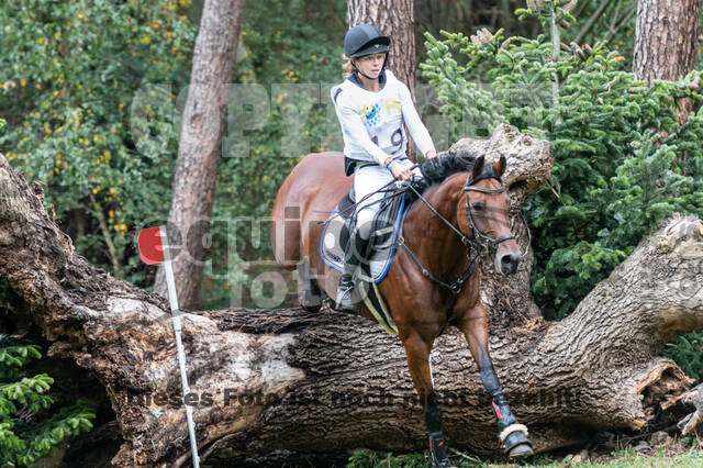 Vielseitigkeit RSV Wesel Obrighoven (26.+27.09.2020)