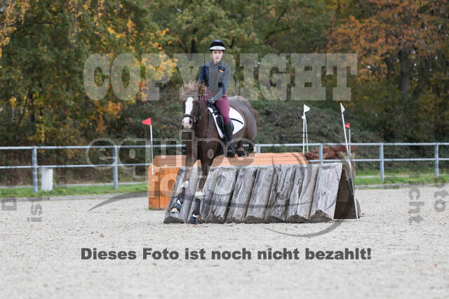 IGV Lehrgang der Sieger der Cups mit Frank Ostholt