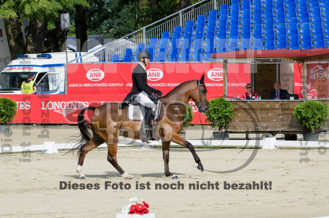 FEI European Championship Eventing 2017