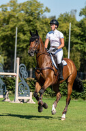 Kronenberg - De Peelbergen (August 2020)