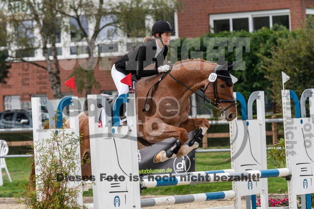 Goldene Schärpe 2020 - Pferde