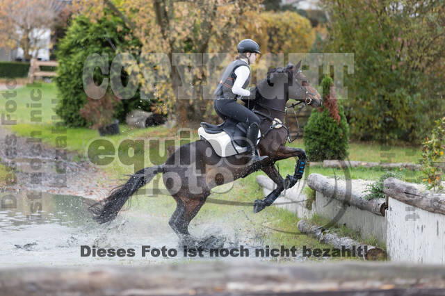 IGV Lehrgang der Sieger der Cups mit Frank Ostholt