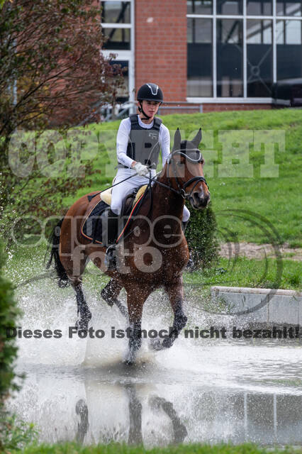 Goldene Schärpe 2020 - Pferde