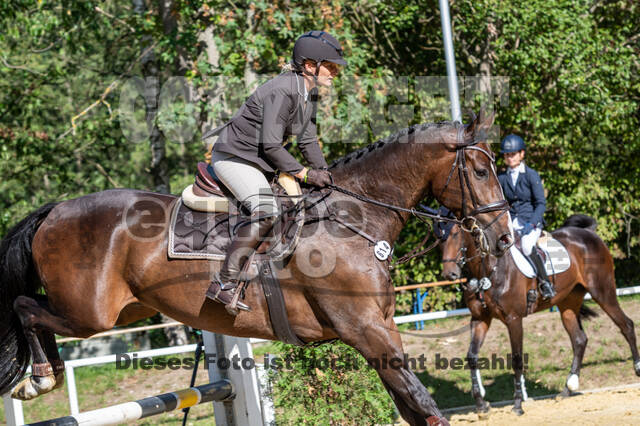 RFV Dinslaken-Hiesfeld (Herbstturnier)