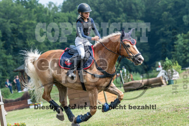 Goldene Schärpe 2021 - Ponys