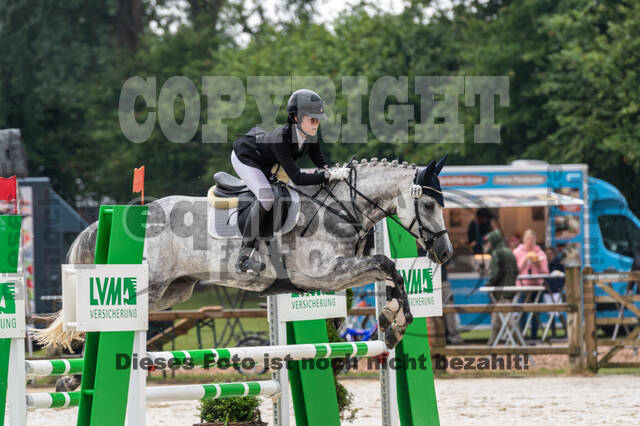 Goldene Schärpe 2021 - Ponys