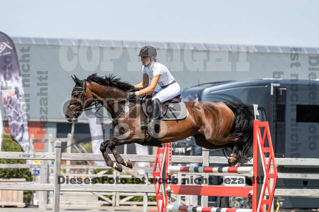 Kronenberg - De Peelbergen (August 2020)