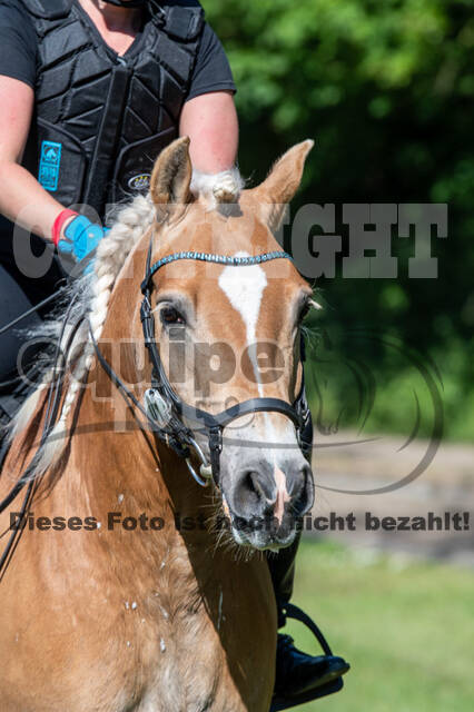 Test of Choise Langenfeld (29.+30.05.2021)