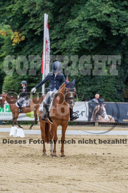 Goldene Schärpe 2021 - Ponys