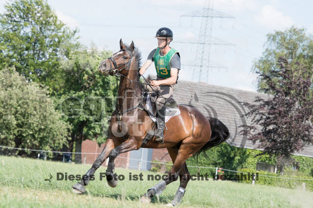 Vielseitigkeitsturnier ZRuFV von Lützow Hamminkeln