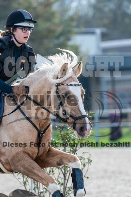 IGV Lehrgang der Sieger der Cups mit Frank Ostholt