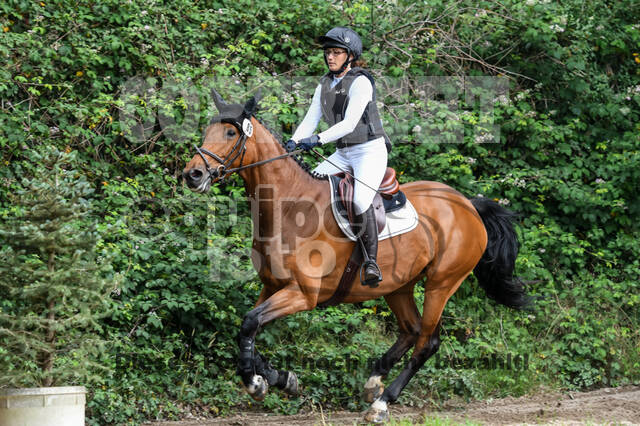 Late-Entry-Vielseitigkeit Langenfeld (11.+13./14.06.2020)