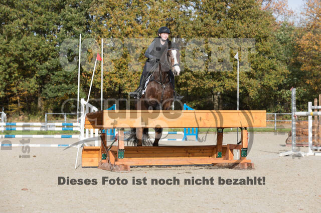 IGV Lehrgang der Sieger der Cups mit Frank Ostholt