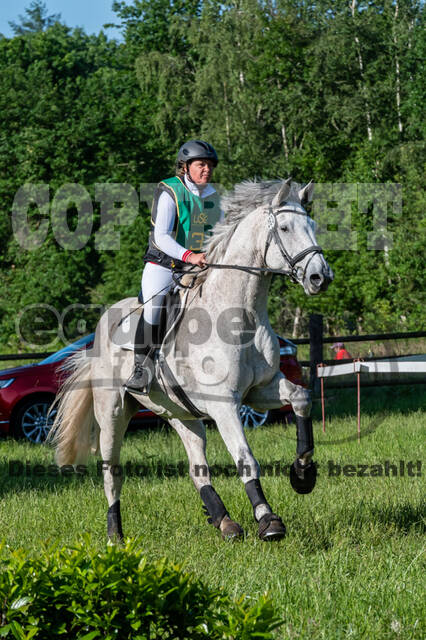 Westerstede Horse Trials (10.-13.06.2021)
