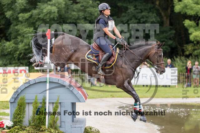 FEI European Championship