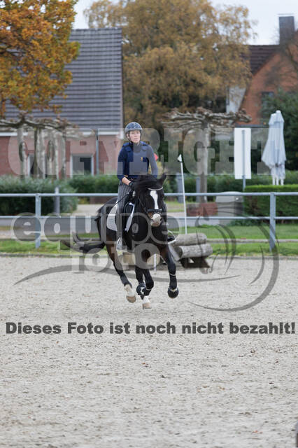 IGV Lehrgang der Sieger der Cups mit Frank Ostholt