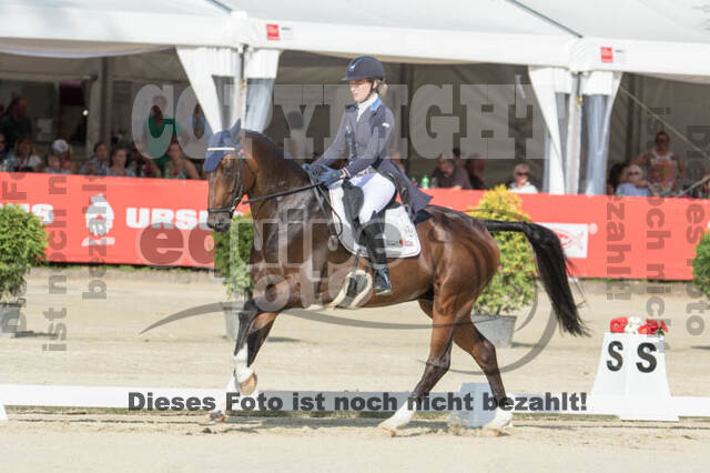 FEI European Championship Eventing 2017