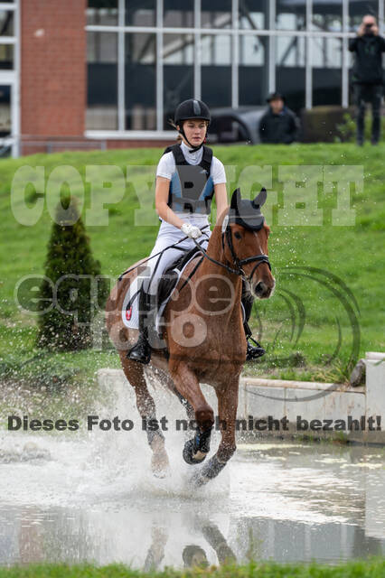 Goldene Schärpe 2020 - Pferde