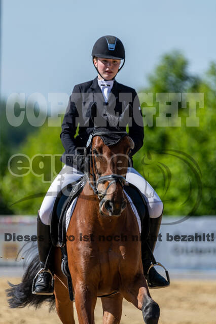 Westerstede Horse Trials 2021