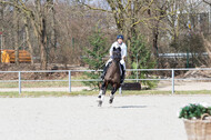 Eventing Langenfeld 2018