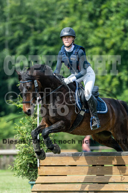 Goldene Schärpe 2021 - Ponys