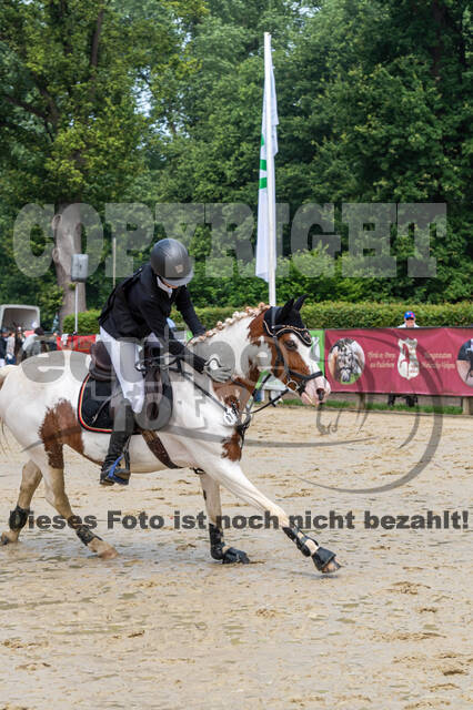 Goldene Schärpe 2021 - Ponys
