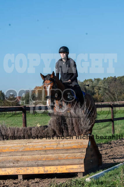 Vielseitigkeitslehrgang mit Jürg Kurbel (9.+10.11.2019)