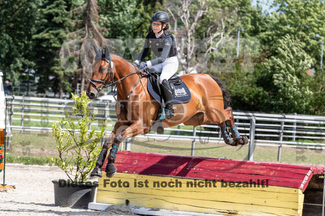 Late-Entry-Vielseitigkeit Langenfeld (06.+07.07.2020)