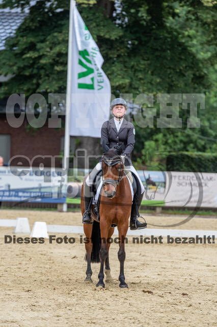 Goldene Schärpe 2021 - Ponys