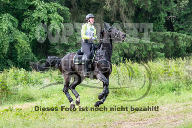 Westerstede Horse Trials 2021