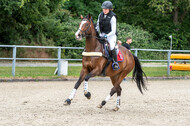 Late-Entry-Vielseitigkeit Langenfeld (11.+13./14.06.2020)