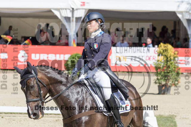 FEI European Championship