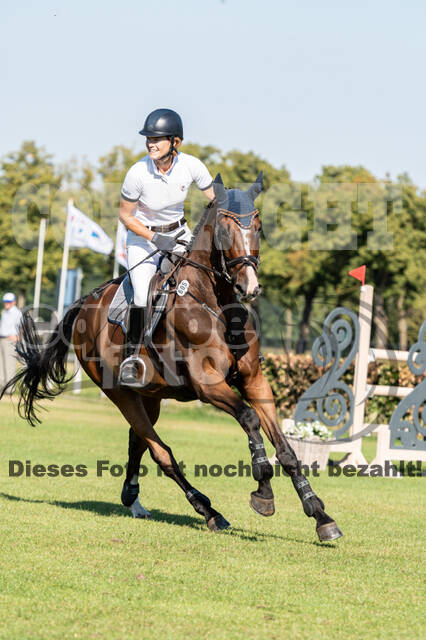 Kronenberg - De Peelbergen (August 2020)