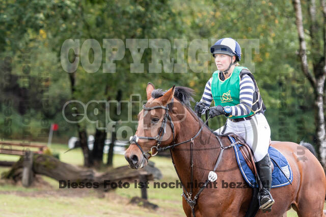 Vielseitigkeit RSV Wesel Obrighoven (26.+27.09.2020)