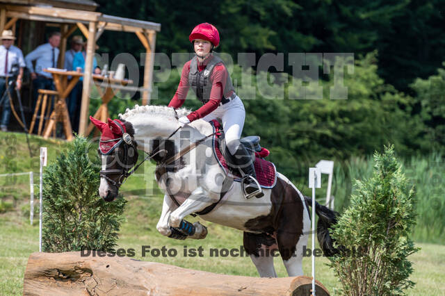 Goldene Schärpe 2021 - Ponys