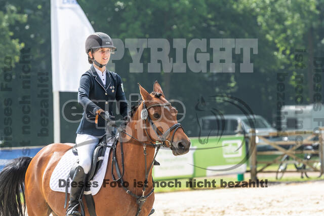 Goldene Schärpe 2021 - Ponys