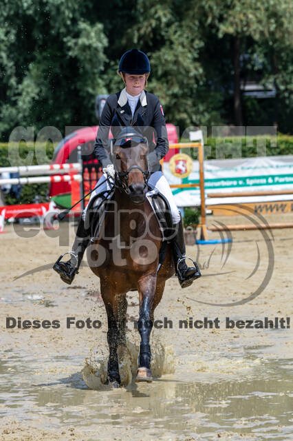 Goldene Schärpe 2021 - Ponys