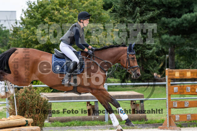 Late-Entry-Vielseitigkeit Langenfeld (06.+07.07.2020)