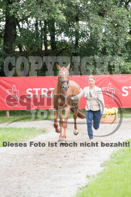 FEI European Championship Eventing 2017