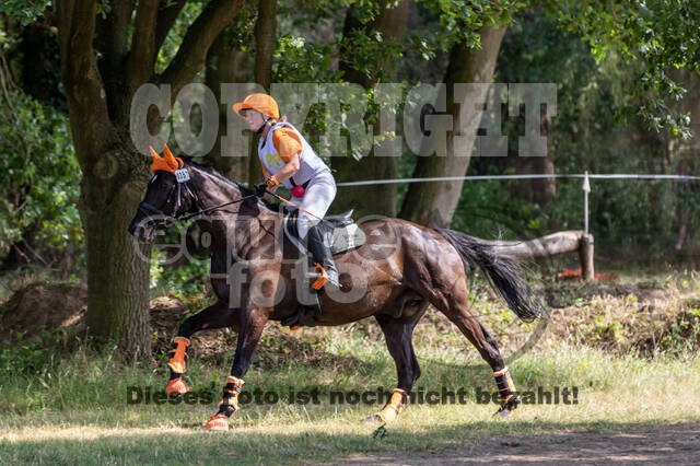 Late-Entry Vielseitigkeit Hamminkeln/Wesel (01.+02.08.2020)