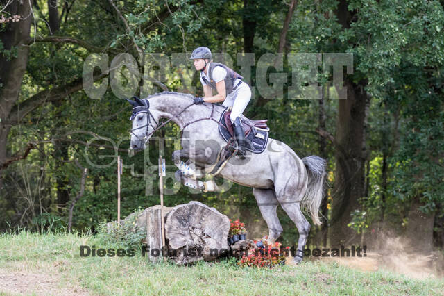 Late-Entry Vielseitigkeit Hamminkeln/Wesel (01.+02.08.2020)