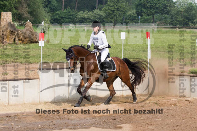 Vielseitigkeitsturnier ZRFV von Lützow Hamminkeln