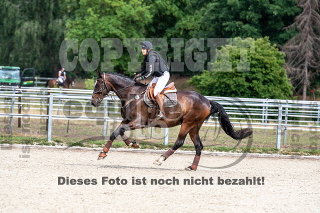 Late-Entry-Vielseitigkeit Langenfeld (11.+13./14.06.2020)