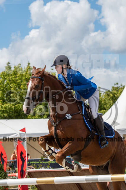 Landesturnier Rheinland, Vielseitigkeit, 22.+23.08.2020