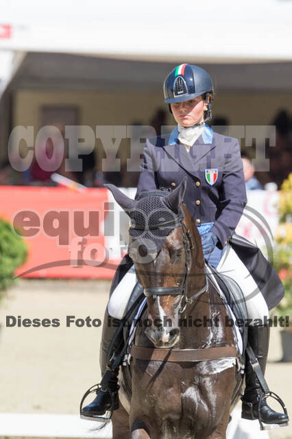FEI European Championship