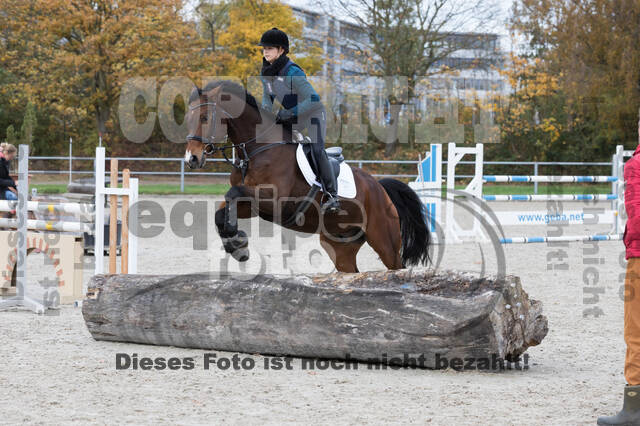 IGV Lehrgang der Sieger der Cups mit Frank Ostholt