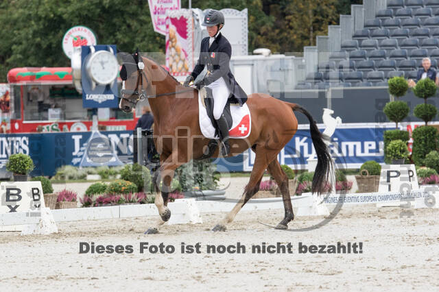 FEI European Championship Eventing 2019